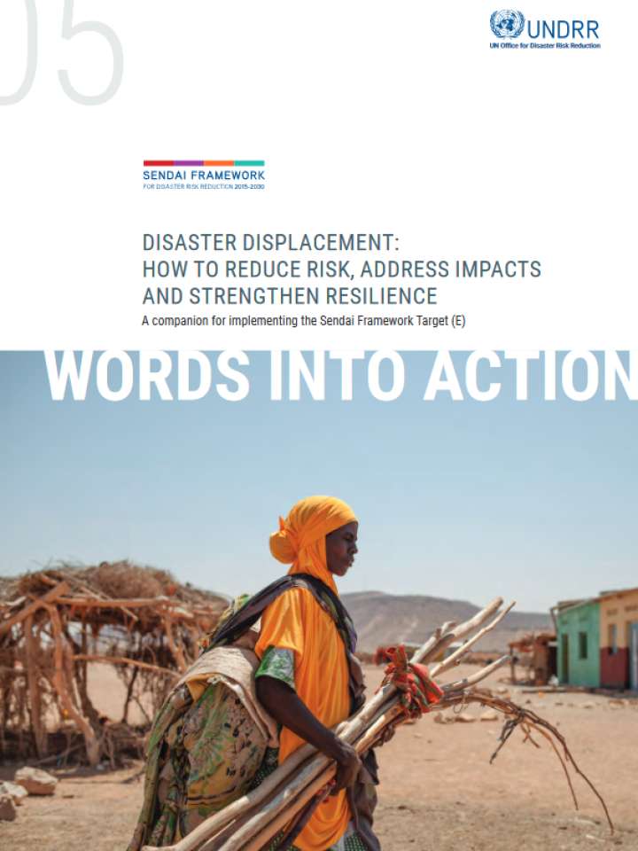 Disaster displacement: how to reduce risk, address impacts and strengthen resilience publication cover